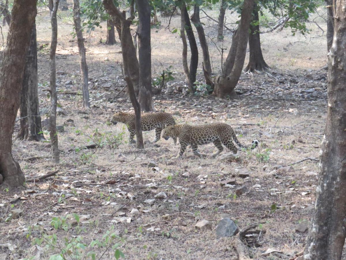 Rajputana Heritage Sawai Madhopur Buitenkant foto
