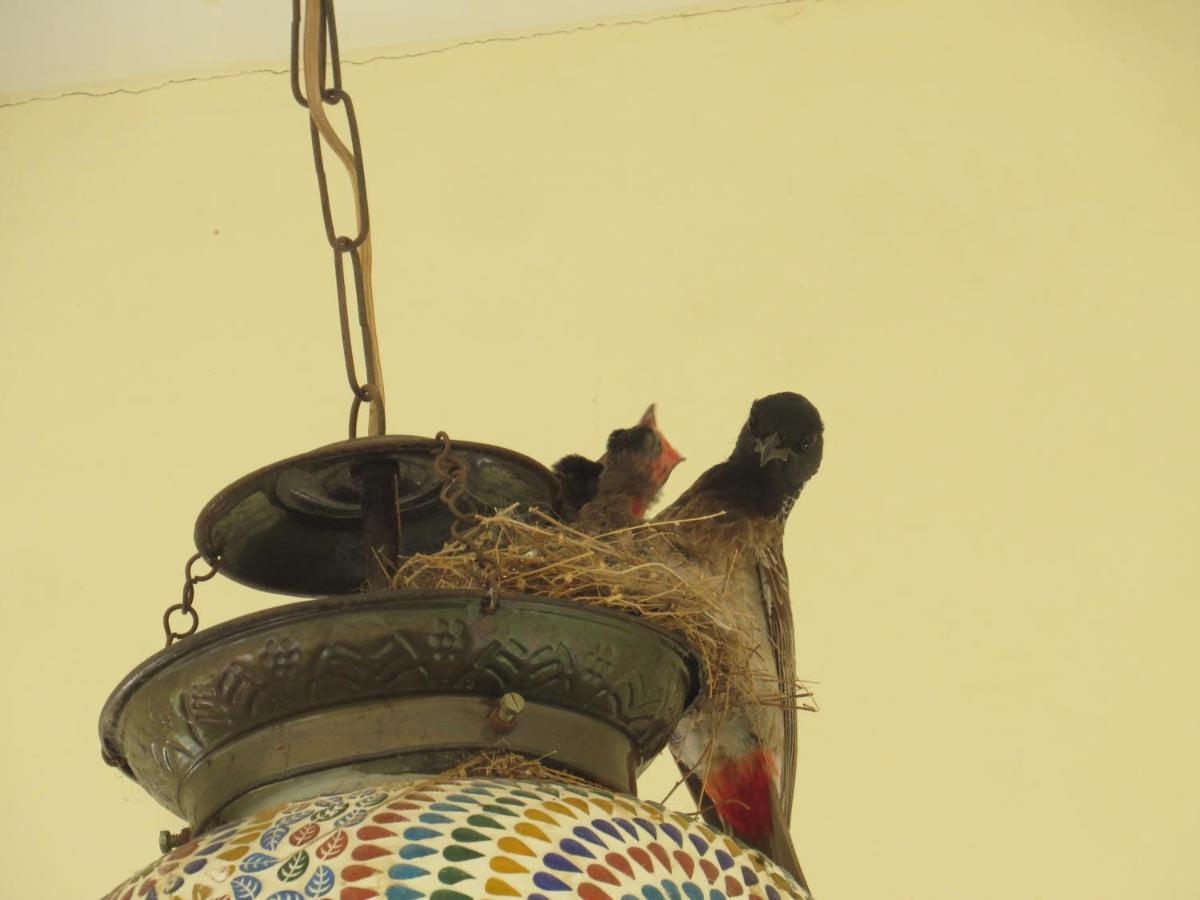Rajputana Heritage Sawai Madhopur Buitenkant foto