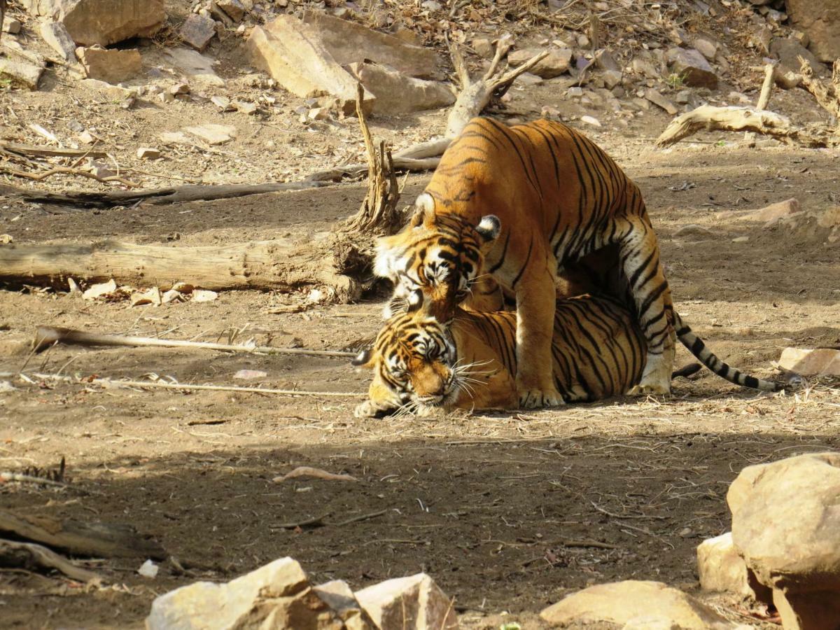 Rajputana Heritage Sawai Madhopur Buitenkant foto