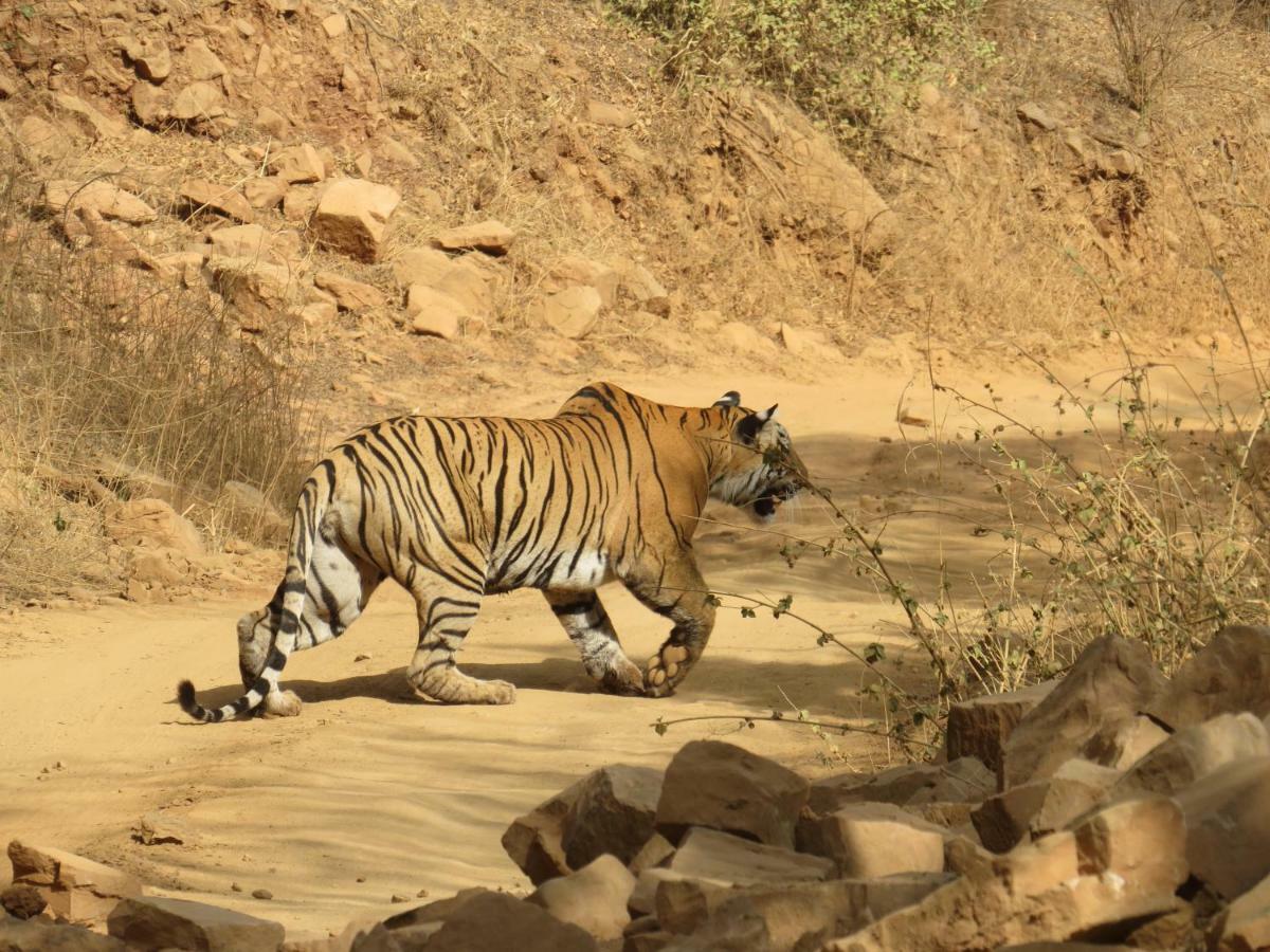 Rajputana Heritage Sawai Madhopur Buitenkant foto